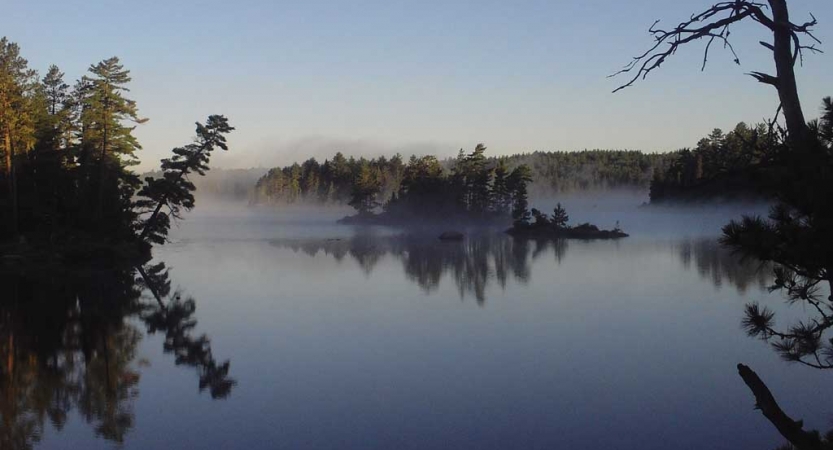 Fog rests on a very calm body of water, reflecting the trees that frame it.